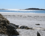 Timber Island