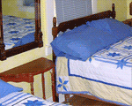 Downstairs Bedroom